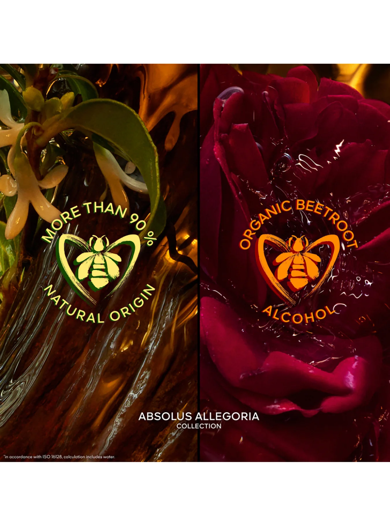Absolus Allegoria Santal Royal Eau de Parfum - Image 3