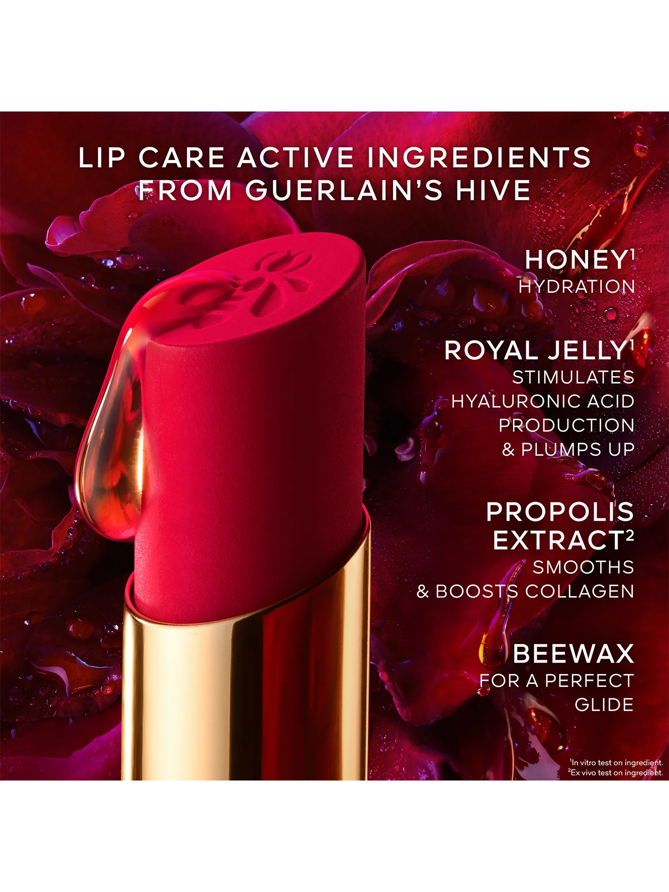 KissKiss Honey Infused Intense Lipstick Refill - Image 36