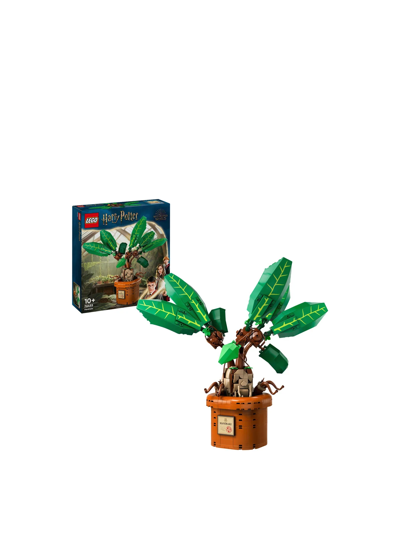 Mandrake 76433 - Image 5